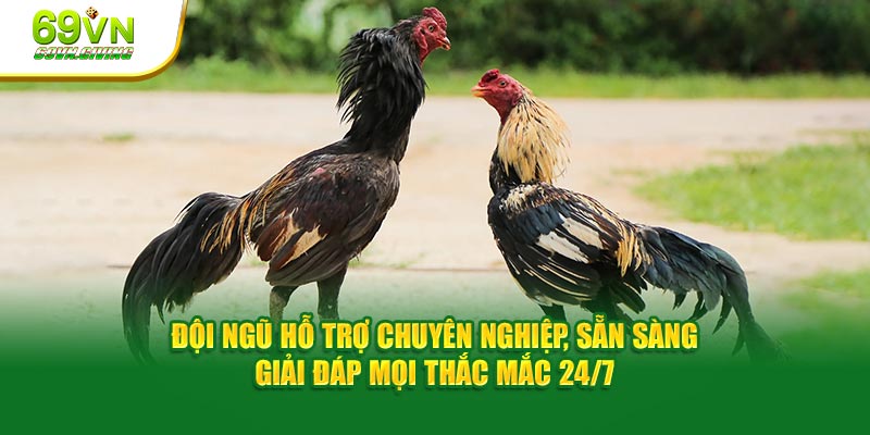 Đội ngũ hỗ trợ chuyên nghiệp, sẵn sàng giải đáp mọi thắc mắc 24/7